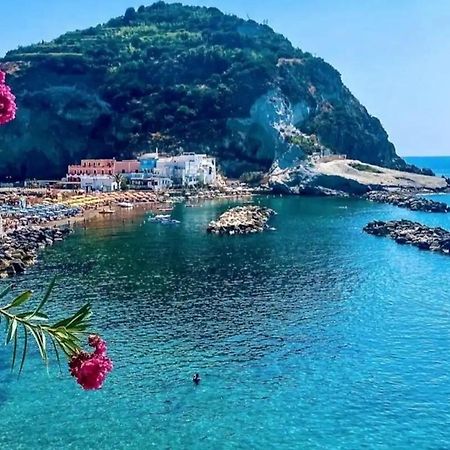 Casa Vacanza al mare a Sant'Angelo Ischia Esterno foto